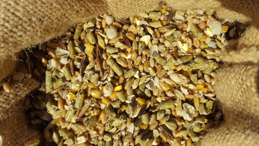Mélange de céréales laminées pour poules pondeuses dans un sac en toile de jute