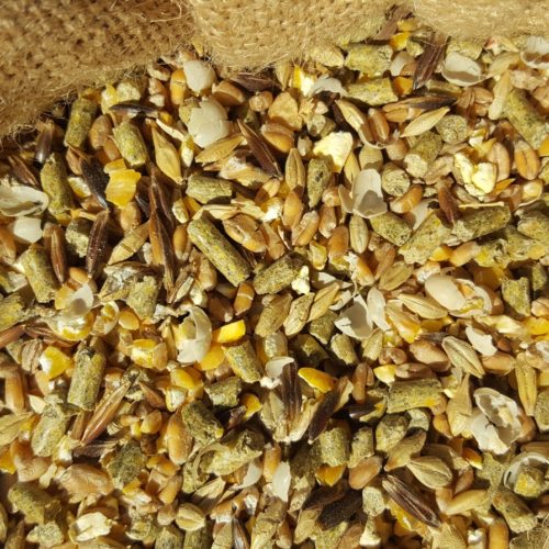 Aliments, graines et céréales pour animaux de Wadicourt — free download